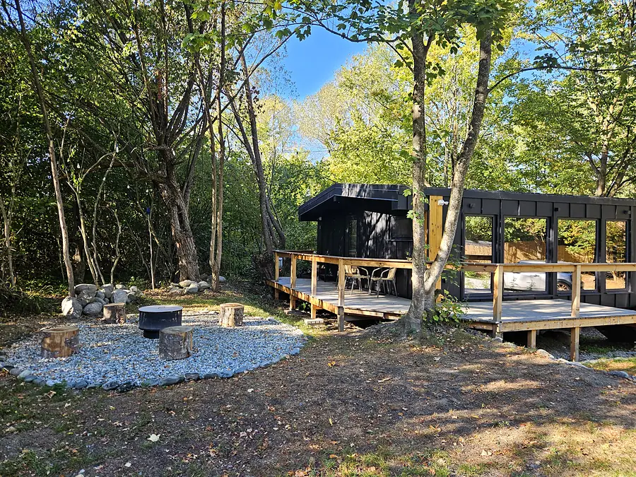 Cabana Wild Crib și zona de foc în pădure, ziua