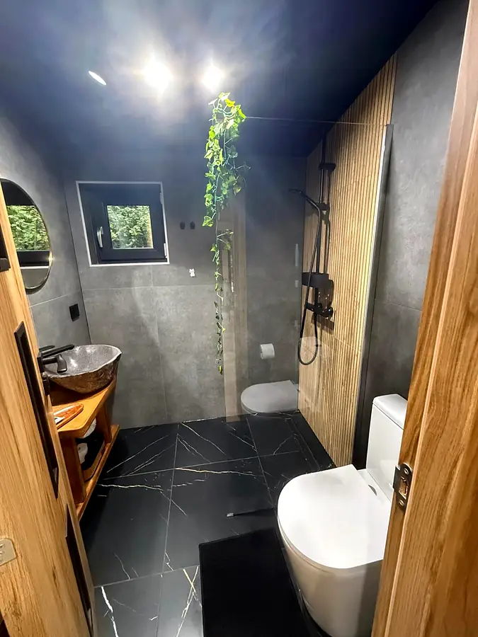 Baie modernă cu duș walk-in în cabana Wild Crib, Valea Avrigului