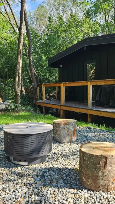 Wild Crib - vezi reel-ul